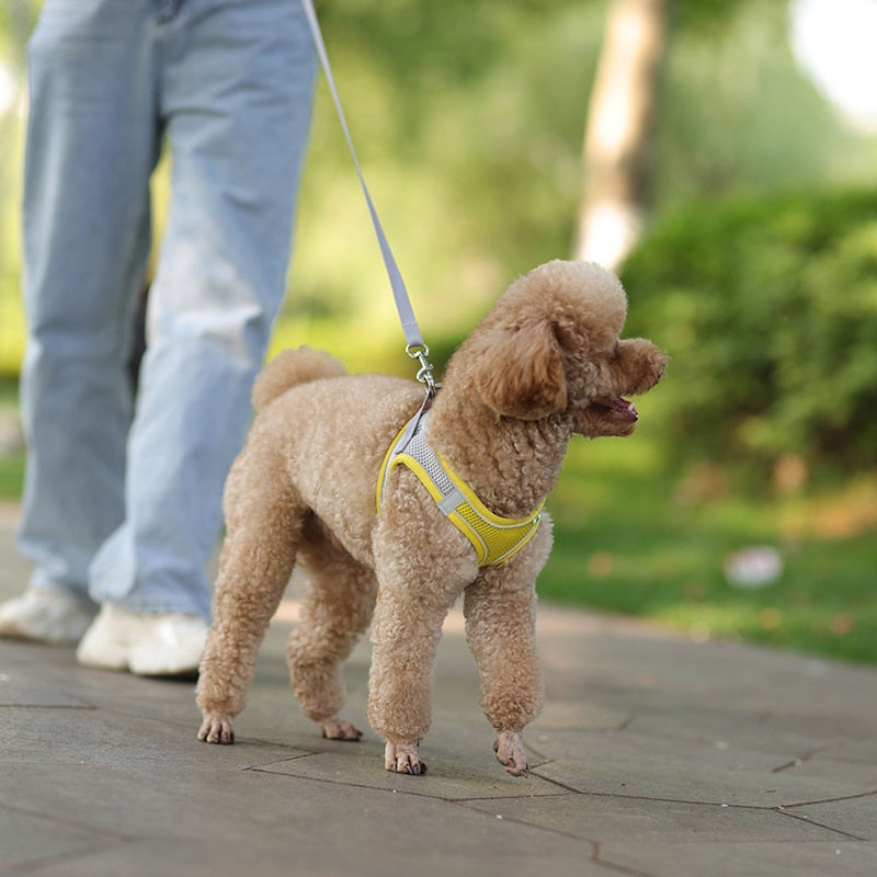 Colete ajustável para cães e gatos para caminhada ao ar livre.